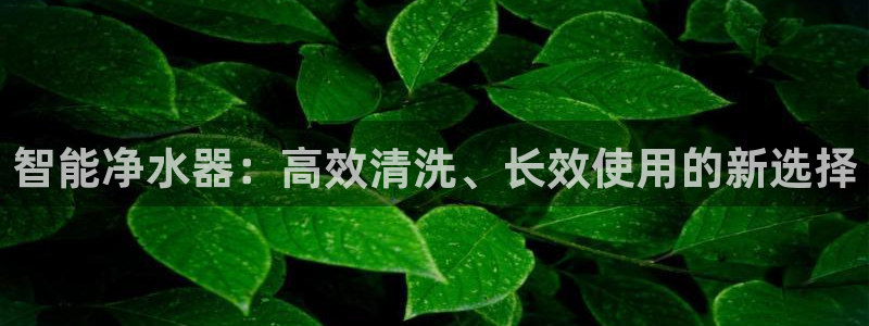 威九国际观看