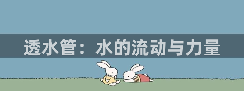 威九国际动漫