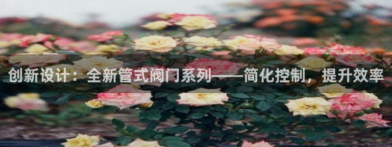 威九国际网站入口官网游戏推荐