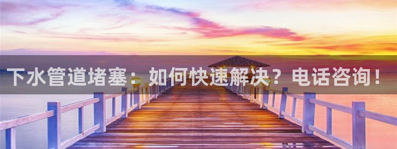 威九国际女孩