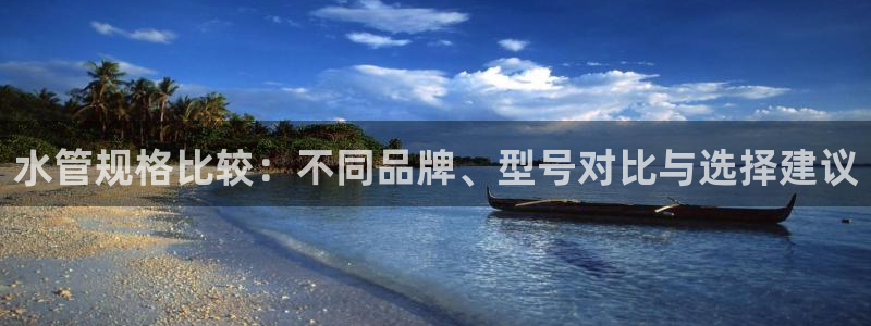 威九国际全国空降