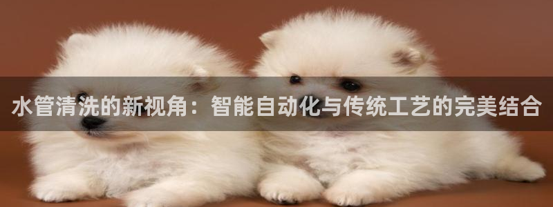 威九国际APP入口