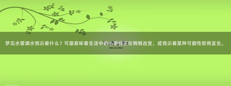 保定威九网络科技有限公司