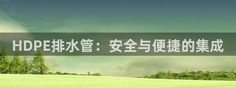 威九国际软件公司简介