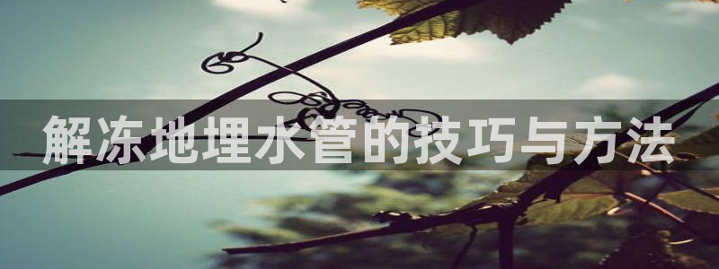 威九国际网站人入口
