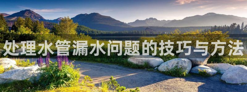 威九国际66m66大陆