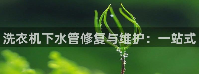 威九国际小剧场