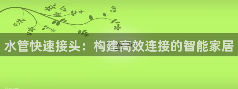 威九国际的金融服务