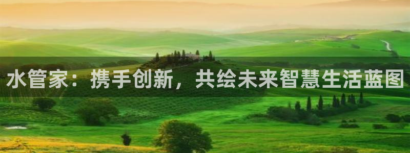 威九国际软件公司简介