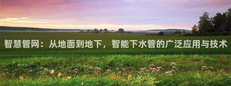 威九国际狂飚电影