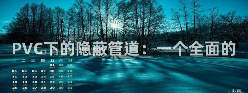 威九国际合作伙伴有哪些