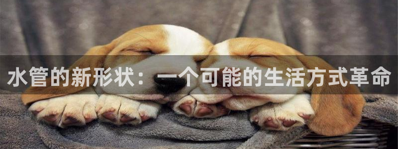 威九国际女儿的朋友