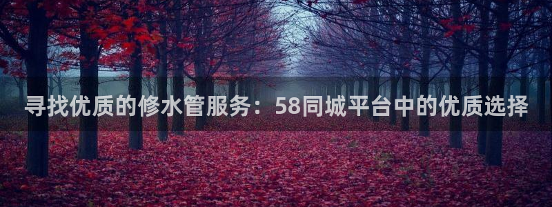 威九国际78mb游戏