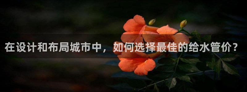 威九国际取款不到账