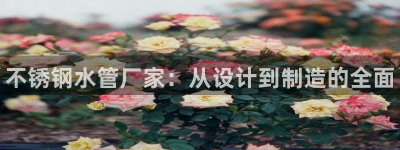 威九国际里的长头发帅哥名字