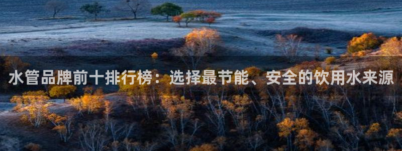 威九国际官方入口