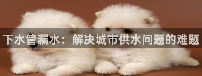 威九国际国精彩片段