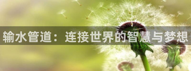 威九国际取款多到账