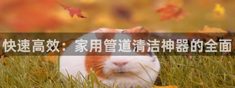 威九国际78mob游戏特色