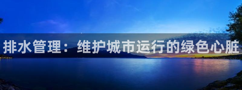 威九国际官方入口官网