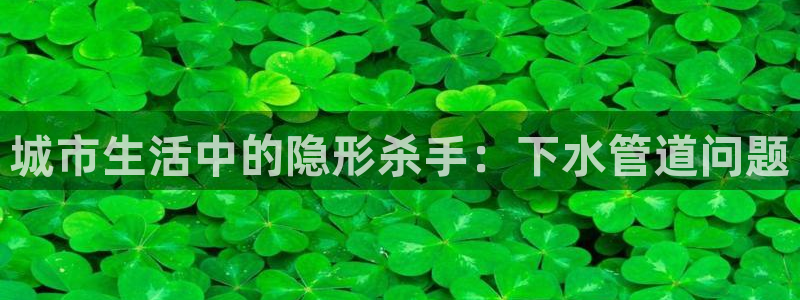 威九国际狂飚电影