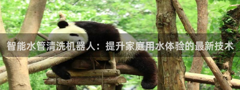 威九国际如何下载