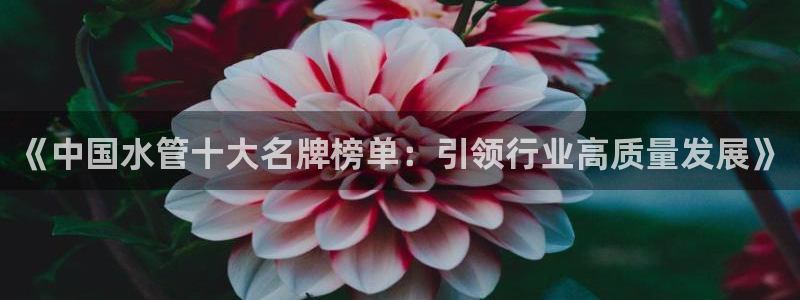 威九国际66m66模式视频