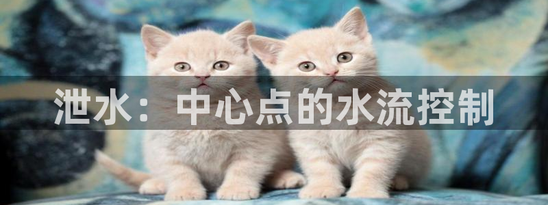 威九国际女演员名单介绍