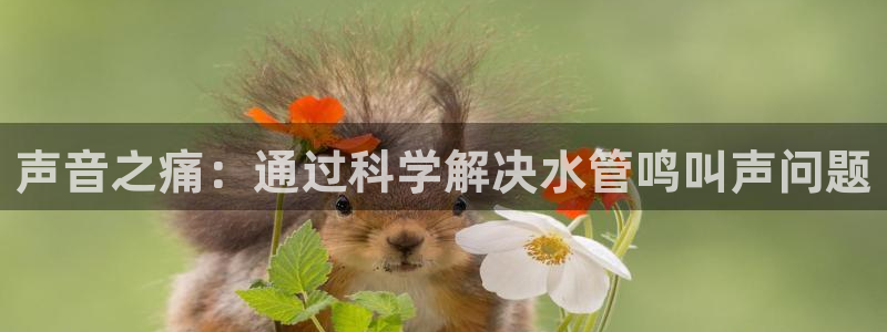 威九国际免费版