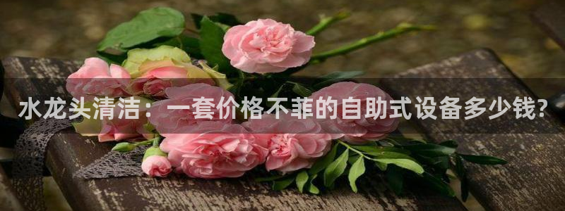 保定威九网络科技有限公司是干嘛的