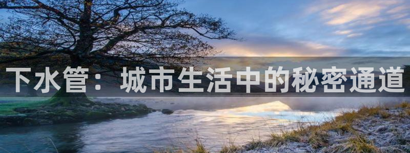 威九国际电子游戏