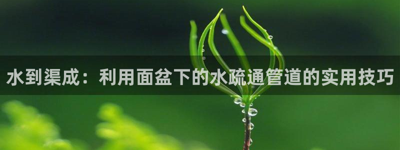 威九国际旗下艺人都有谁