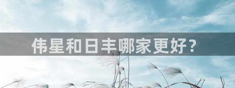 威九国际电影HD