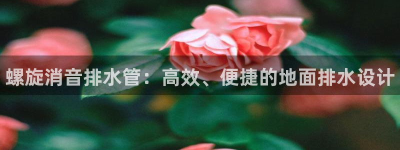 威九国际ppt免费下载