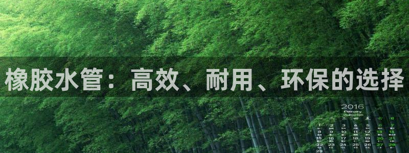 威九国际网站入口官网免费