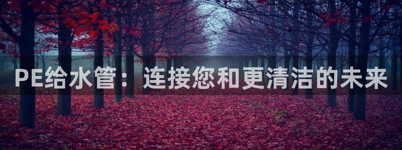 威九国际电影HD