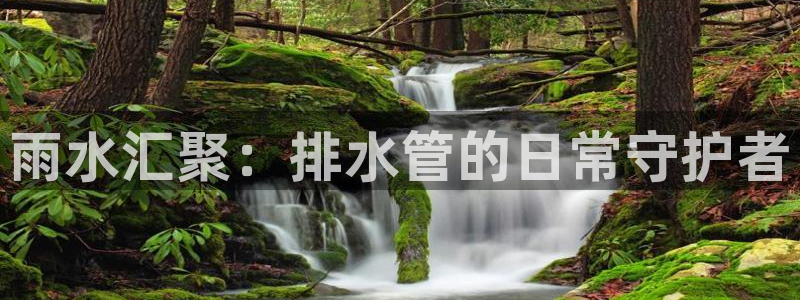 威九国际和之前