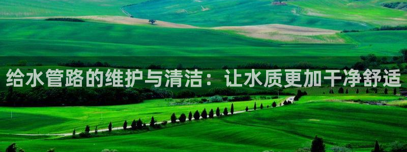 威九国际演员名单