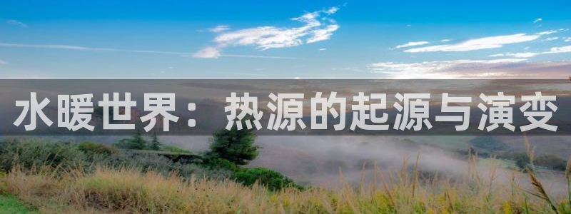 威九国际空降服务女演员名字