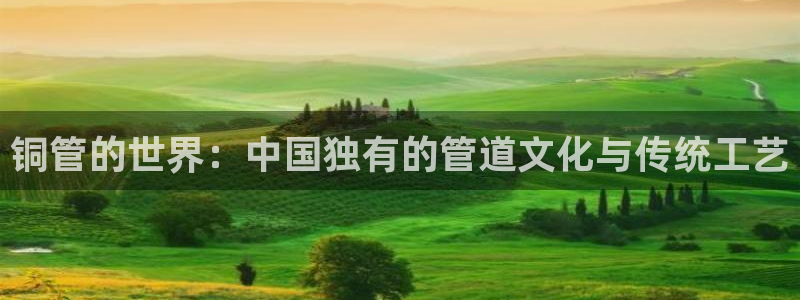 78mapp威九国际网