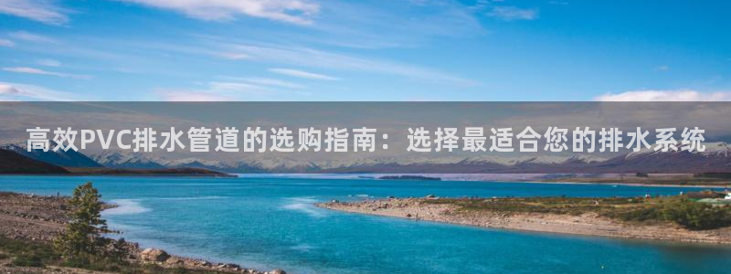 威九国际电子有限公司