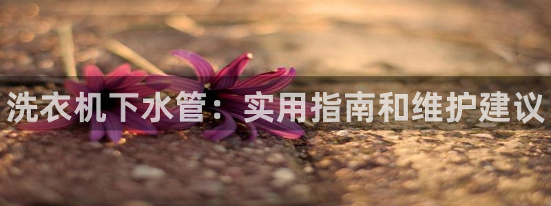 威九国际网站进入(中国)有限公司-官网